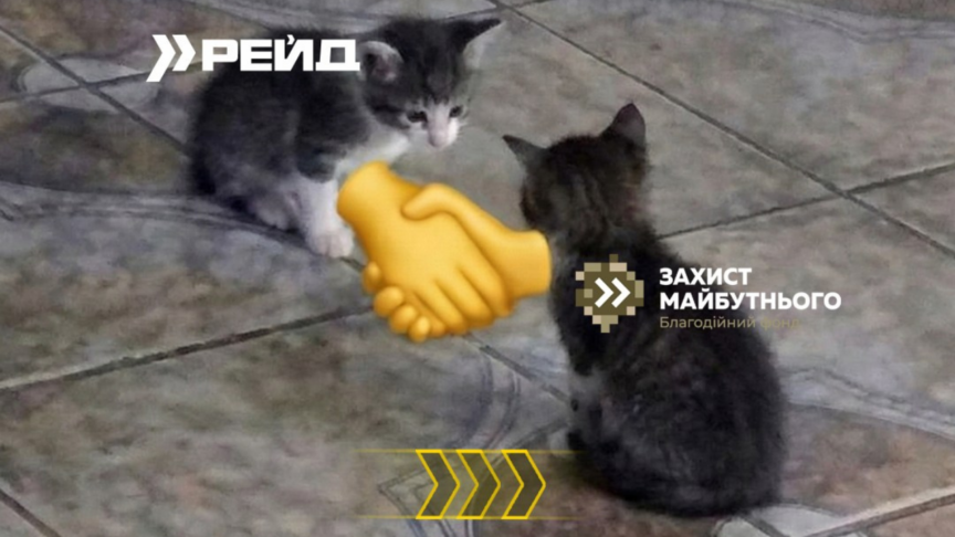 Благодійний фонд